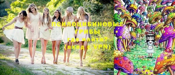 прущие грибы Верхнеуральск