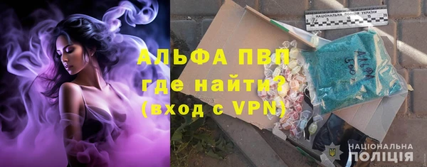 прущие грибы Верхнеуральск