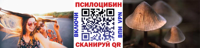 Галлюциногенные грибы MAGIC MUSHROOMS Будённовск