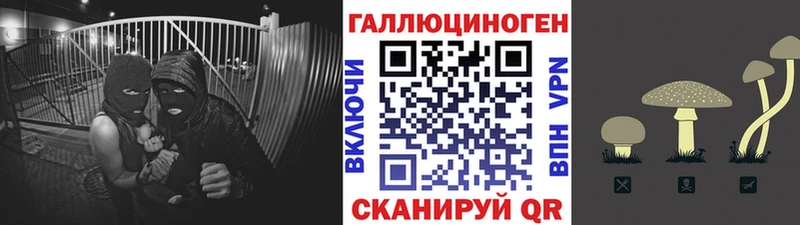 Псилоцибиновые грибы ЛСД Будённовск